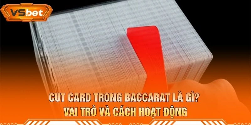 Cut Card Trong Baccarat Là Gì? Vai Trò Và Cách Hoạt Động